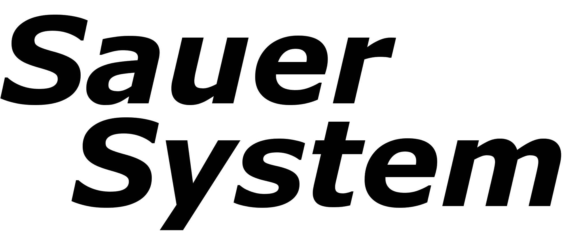 Logo Sauer System 